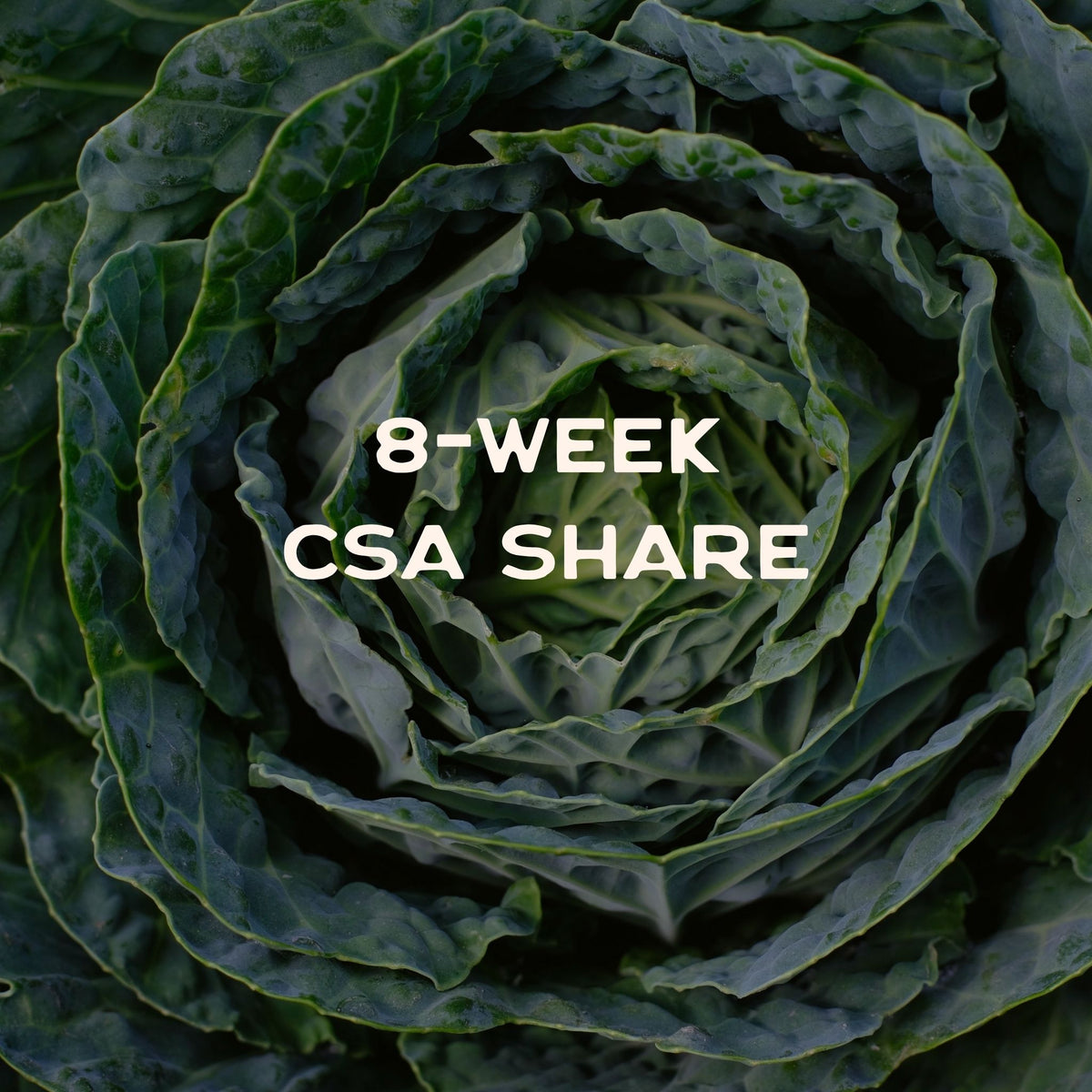 2027 Charlotte CSA Share