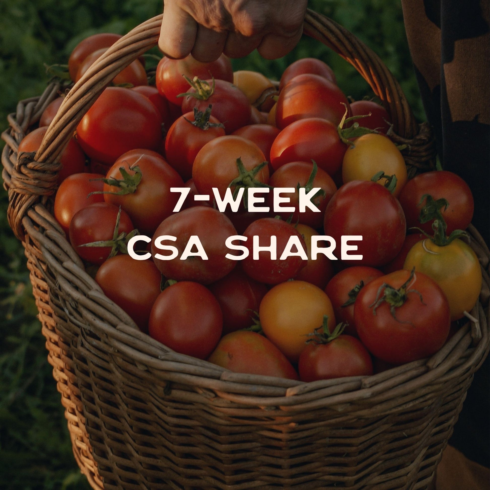 Charlotte CSA Share