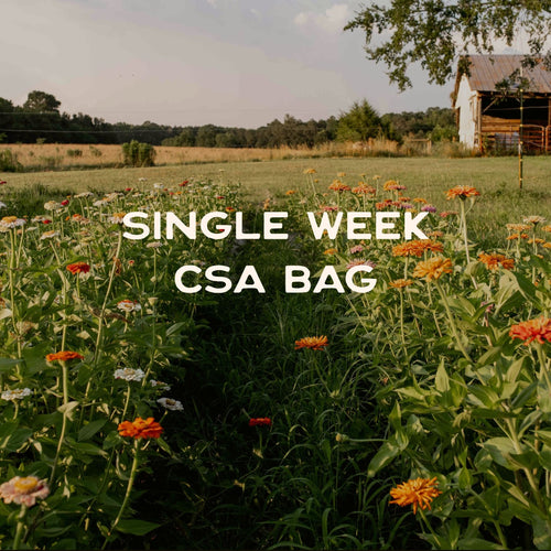 Weekly CSA Share @ Innovation Barn