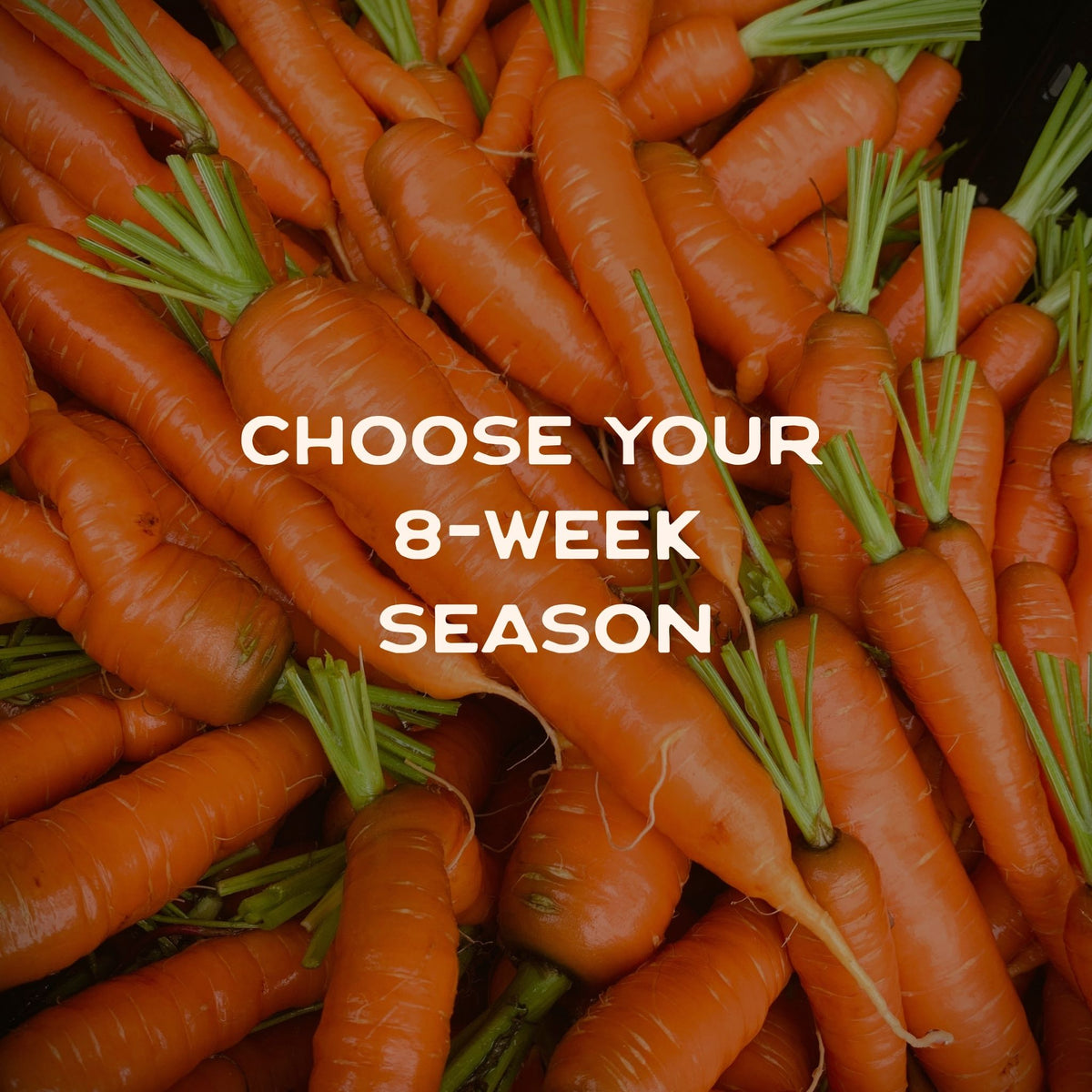 2027 Charlotte CSA Share