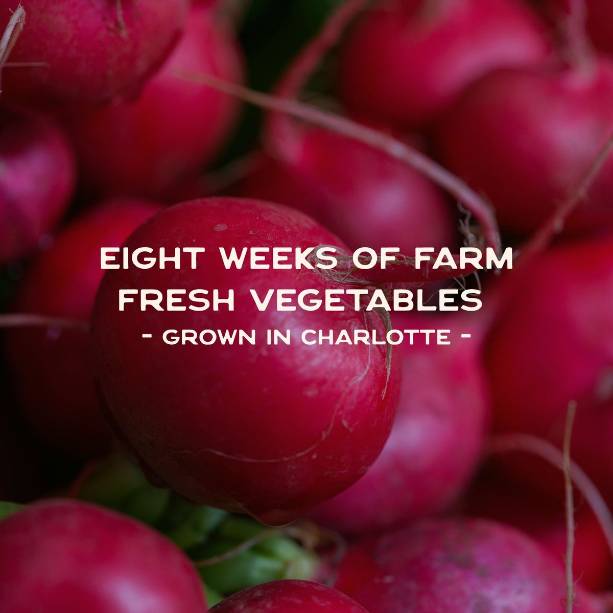Gift a CSA Share