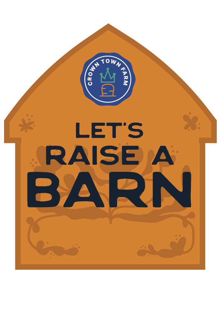 Let's Raise a Barn